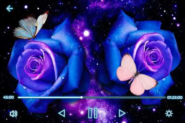 Play All Video Player Pro