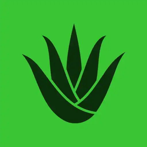 Play Aloe Calculator CC APK Play Aloe Calculator CC APK