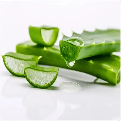 Run free android online Aloe Vera Benefits APK Run free android online Aloe Vera Benefits APK