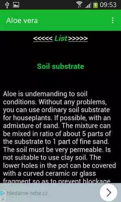 Play Aloe vera