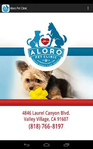Play Aloro Pet Clinic
