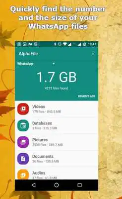 Play AlphaFile