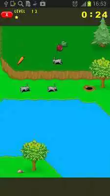 Play ALRM
