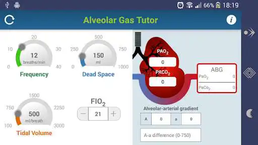 Play Alveolar Gas Tutor  and enjoy Alveolar Gas Tutor with UptoPlay
