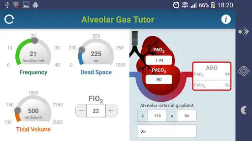Play Alveolar Gas Tutor as an online game Alveolar Gas Tutor with UptoPlay