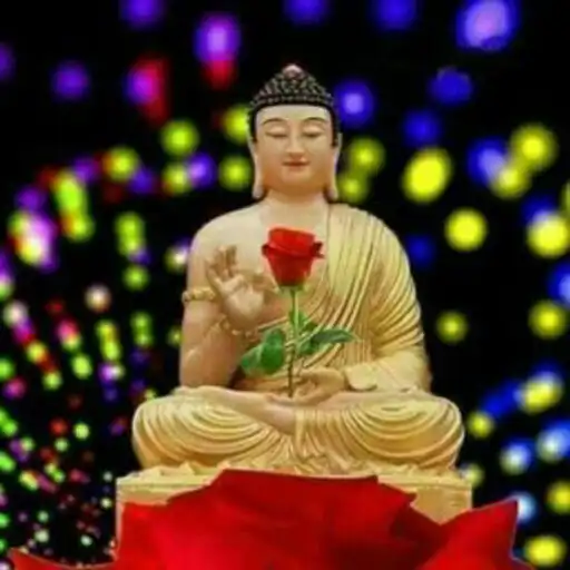 Play amaravathiteacher APK