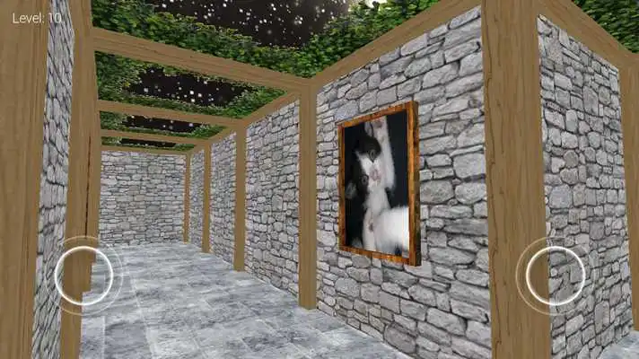 Play aMase Play aMase