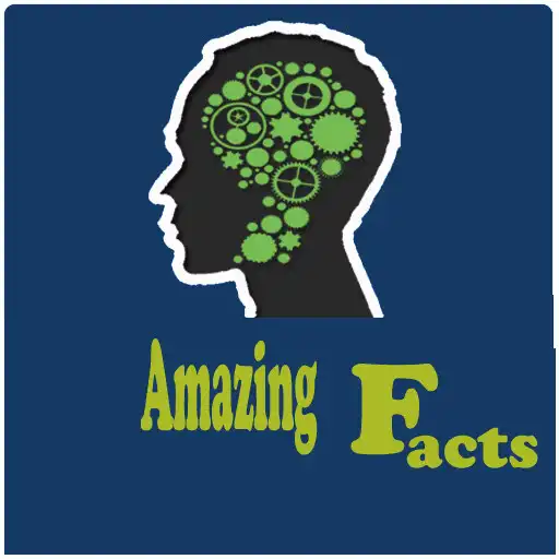 Play Amazed Final Facts APK