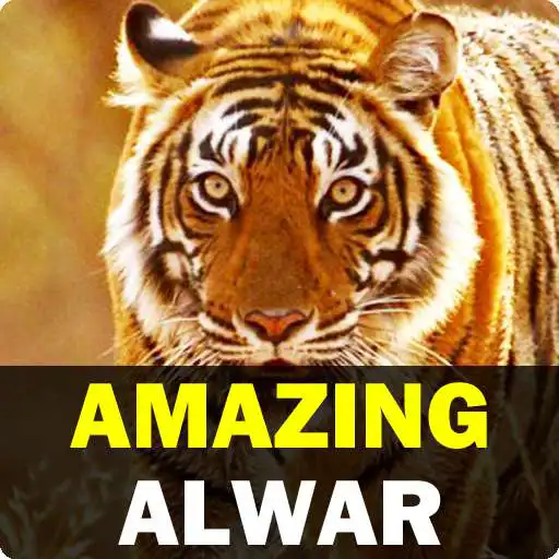 Play Amazing Alwar APK Play Amazing Alwar APK