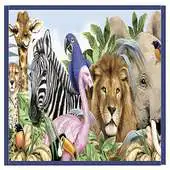 Free play online Amazing Animal Facts APK Free play online Amazing Animal Facts APK
