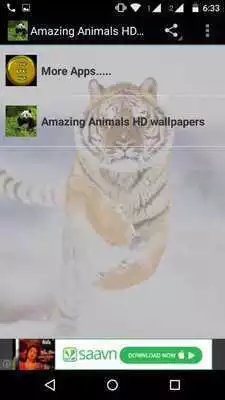 Play Amazing Animals HD Wallpapers
