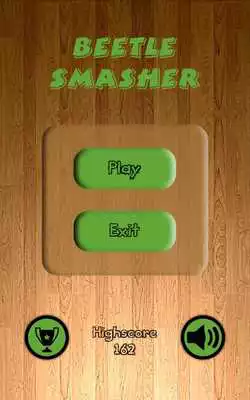 Play Amazing Beetle Smasher