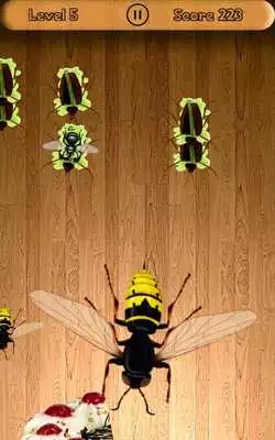 Play Amazing Beetle Smasher
