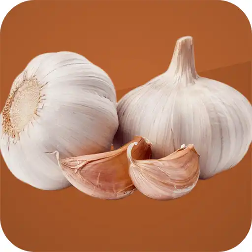 Play Amazing Benefits of Garlic APK Play Amazing Benefits of Garlic APK