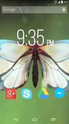 Play Amazing Butterfly