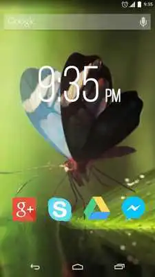Play Amazing Butterfly