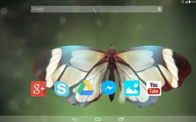 Play Amazing Butterfly