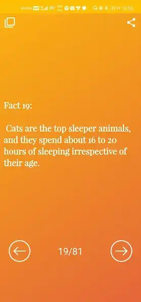 Play Amazing Cat Facts as an online game Amazing Cat Facts with UptoPlay