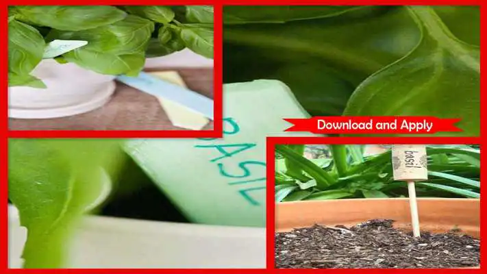 Play Amazing DIY Garden Markers Play Amazing DIY Garden Markers
