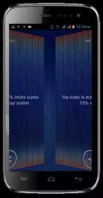 Play Amazing Facts - Daily Facts File 10000+ Play Amazing Facts - Daily Facts File 10000+