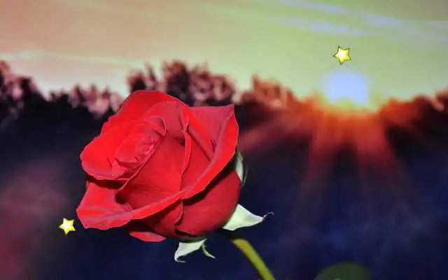 Play Amazing Flowers live wallpaper