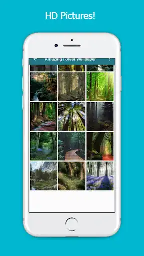 Play Amazing Forest Wallpaper and enjoy Amazing Forest Wallpaper with UptoPlay Play Amazing Forest Wallpaper and enjoy Amazing Forest Wallpaper with UptoPlay