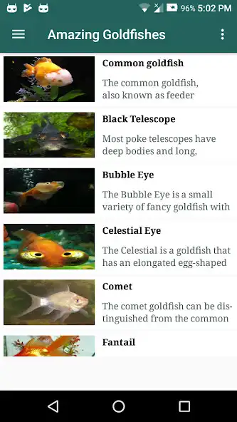 Play Amazing Goldfish and enjoy Amazing Goldfish with UptoPlay Play Amazing Goldfish and enjoy Amazing Goldfish with UptoPlay