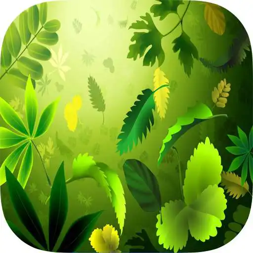 Play Amazing HD Wallpapers APK