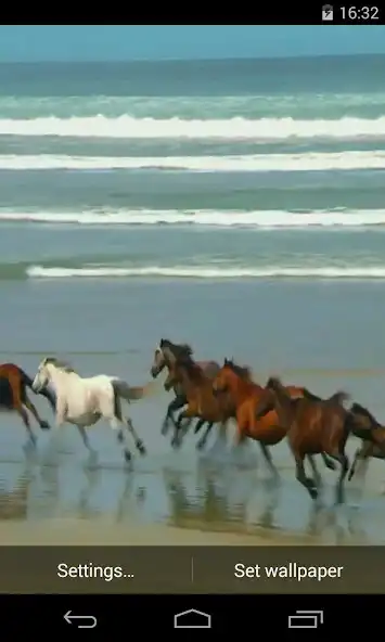 Play Amazing horses Video LWP  and enjoy Amazing horses Video LWP with UptoPlay