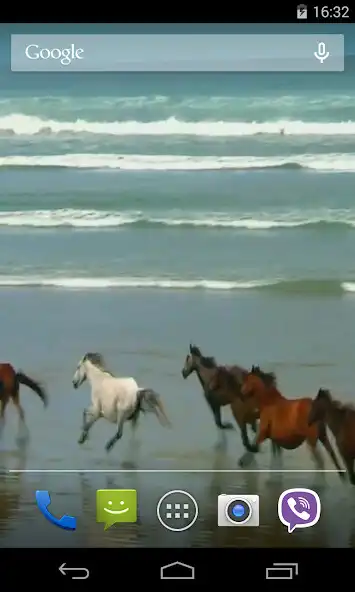 Play Amazing horses Video LWP as an online game Amazing horses Video LWP with UptoPlay