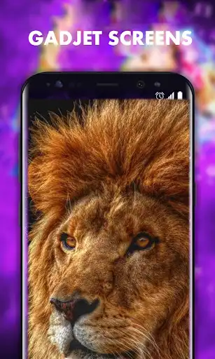 Play Amazing Lions HD Wallpapers