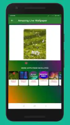 Play Amazing Live Wallpaper
