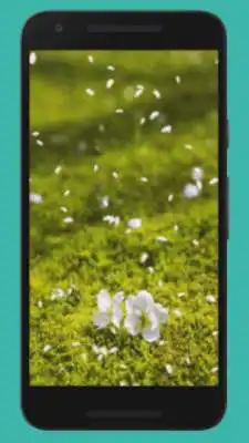 Play Amazing Live Wallpaper