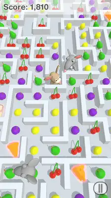 Play A Mazing Mouse
