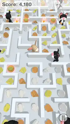 Play A Mazing Mouse