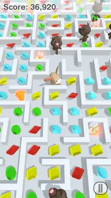 Play A Mazing Mouse
