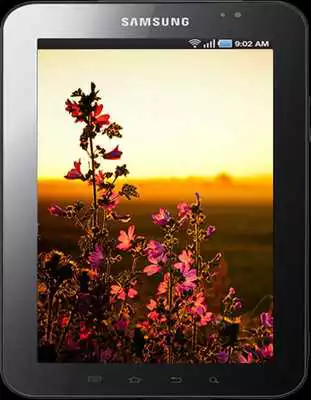 Play Amazing Sunrise Wallpapers