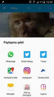 Play Amazing Surprising Facts