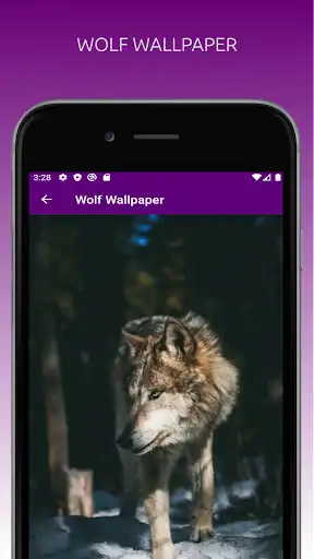 Play Amazing Wolf Wallpapers 4K  and enjoy Amazing Wolf Wallpapers 4K with UptoPlay