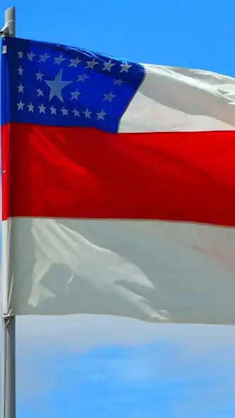 Play Amazonas Wallpaper and enjoy Amazonas Wallpaper with UptoPlay Play Amazonas Wallpaper and enjoy Amazonas Wallpaper with UptoPlay