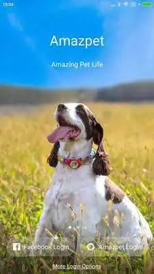 Play Amazpet