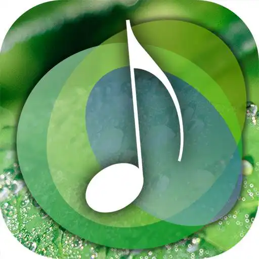 Play Ambience EX - White noise helps you relax APK