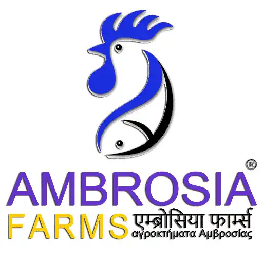 Play Ambrosia Farms Mandi APK Play Ambrosia Farms Mandi APK