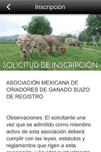 Play AMCGSR  and enjoy AMCGSR with UptoPlay