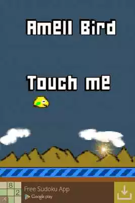 Play Amell Bird