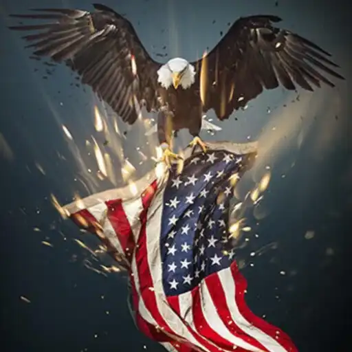 Play America Flag Wallpaper 4K APK