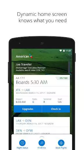 Play American Airlines