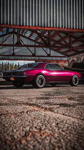 Play American Muscle car Wallpapers