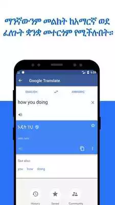 Play Amharic Dictionary