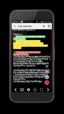 Play Amharic Orthodox Bible Flip Play Amharic Orthodox Bible Flip